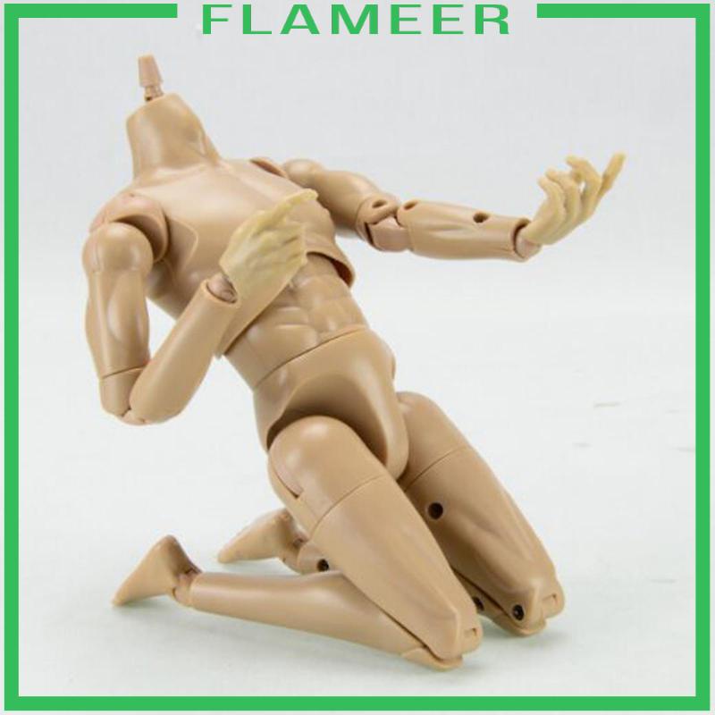 Mô Hình Cơ Thể Nam 12 inch Tỉ Lệ 1 / 6