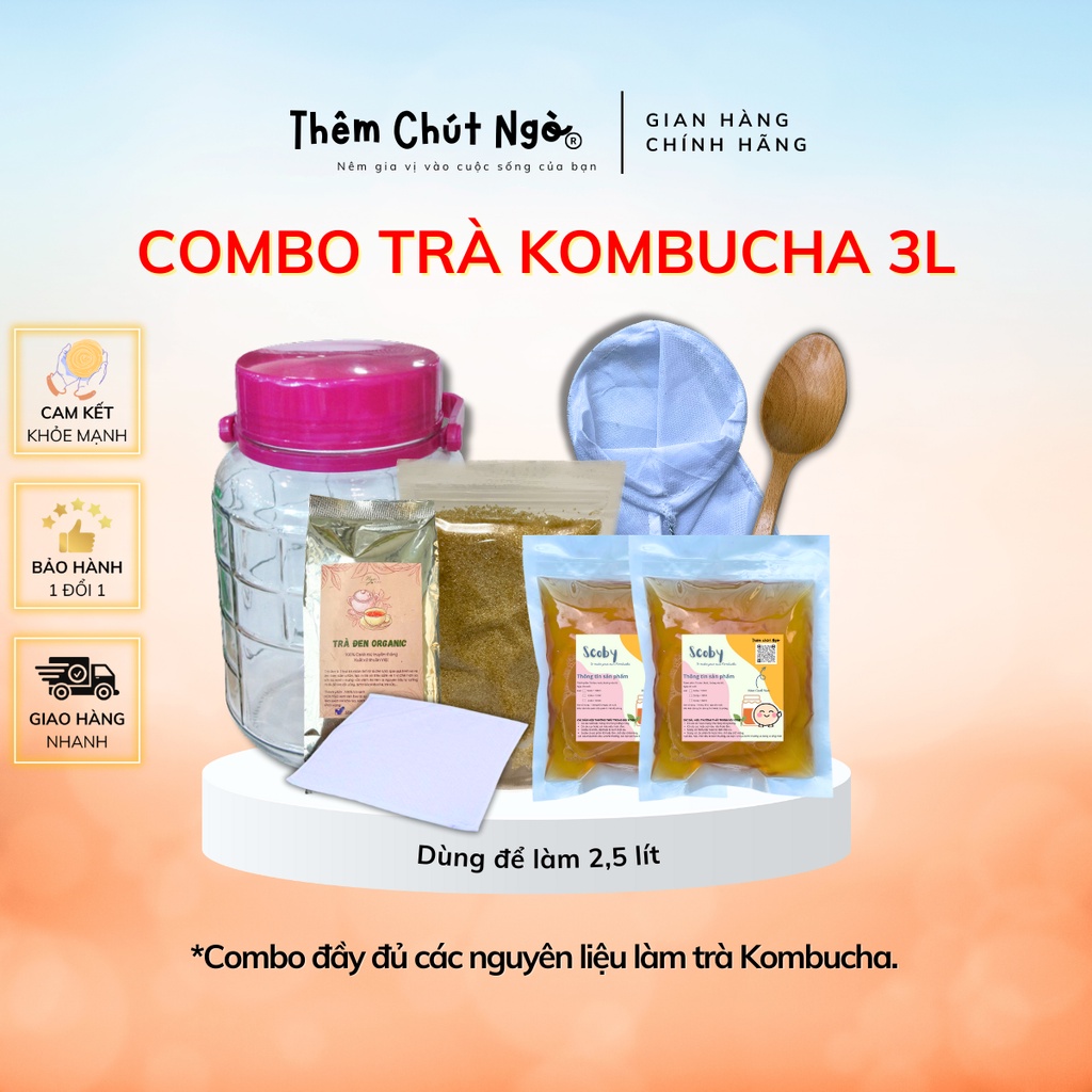 Combo Trà Kombucha đầy đủ nguyên liệu nuôi Scoby làm trà Kombucha, Set nguyên liệu làm trà Kombucha Scoby