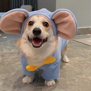 Áo Thun In Hình Chú Voi Dumbo / Cún Shiba Inu Dễ Thương Thời Trang Thu Đông Cho Cún Cưng