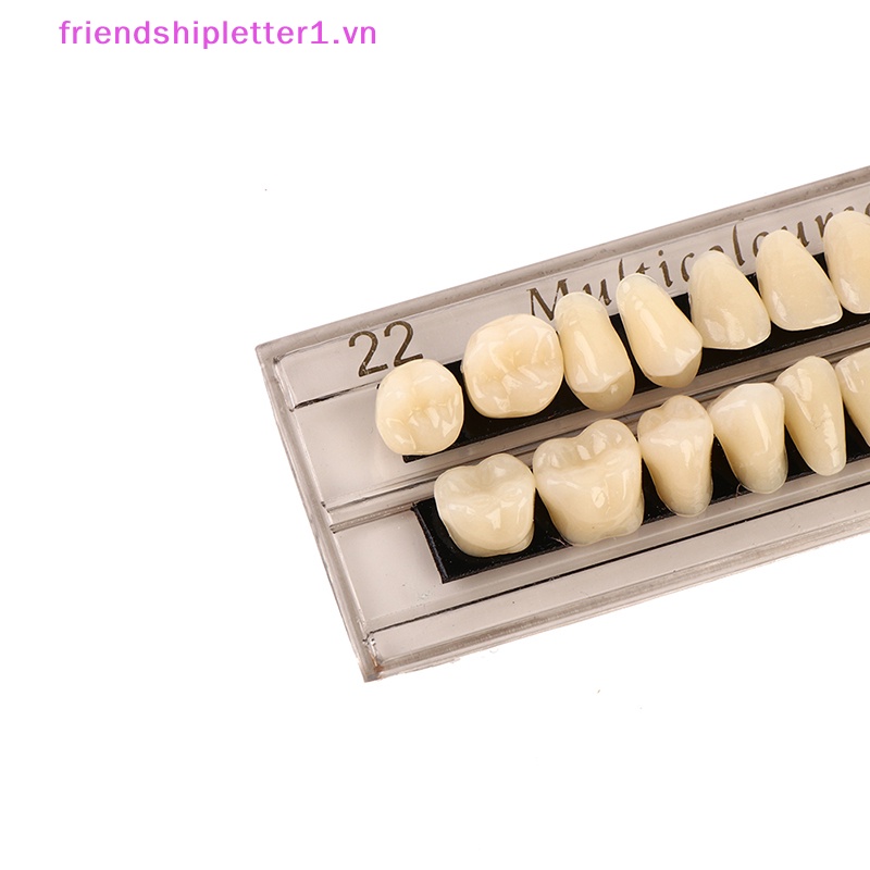 Đĩa Tẩy Trắng Răng Nhựa resin 28 Răng.