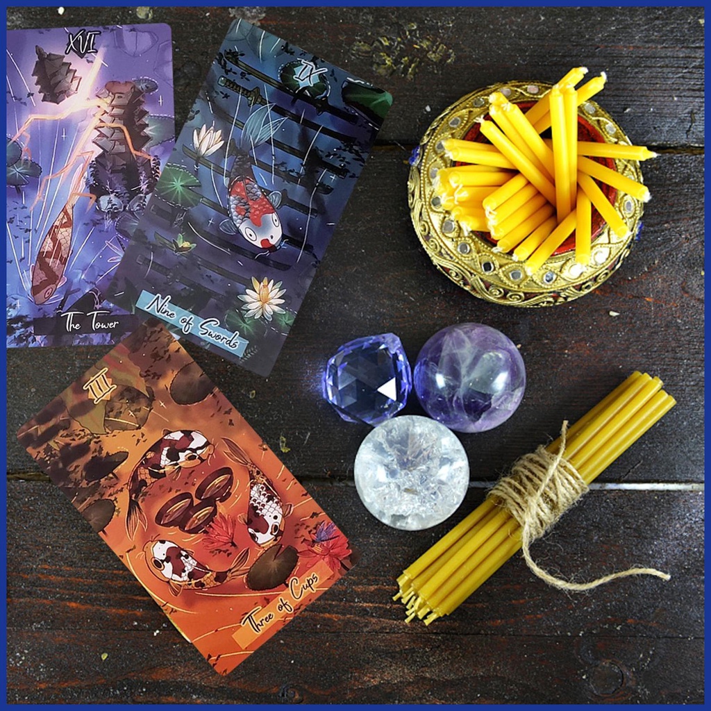 Nishikigoi Bộ Bài tarot 79 Lá Tiếng Anh aiavn