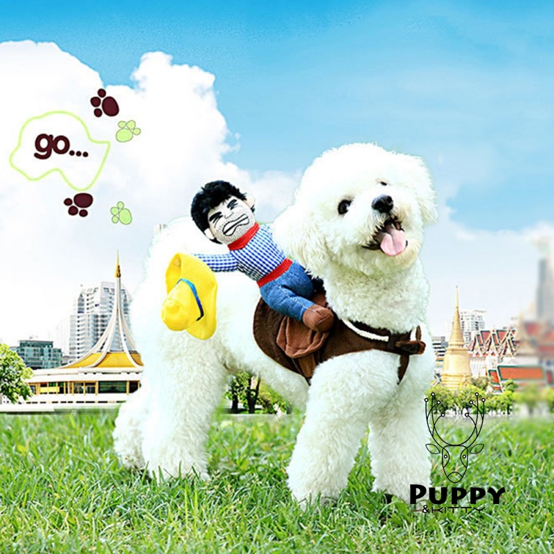 Trang PhụC halloween / GiáNg Sinh Cho Thú Cưng