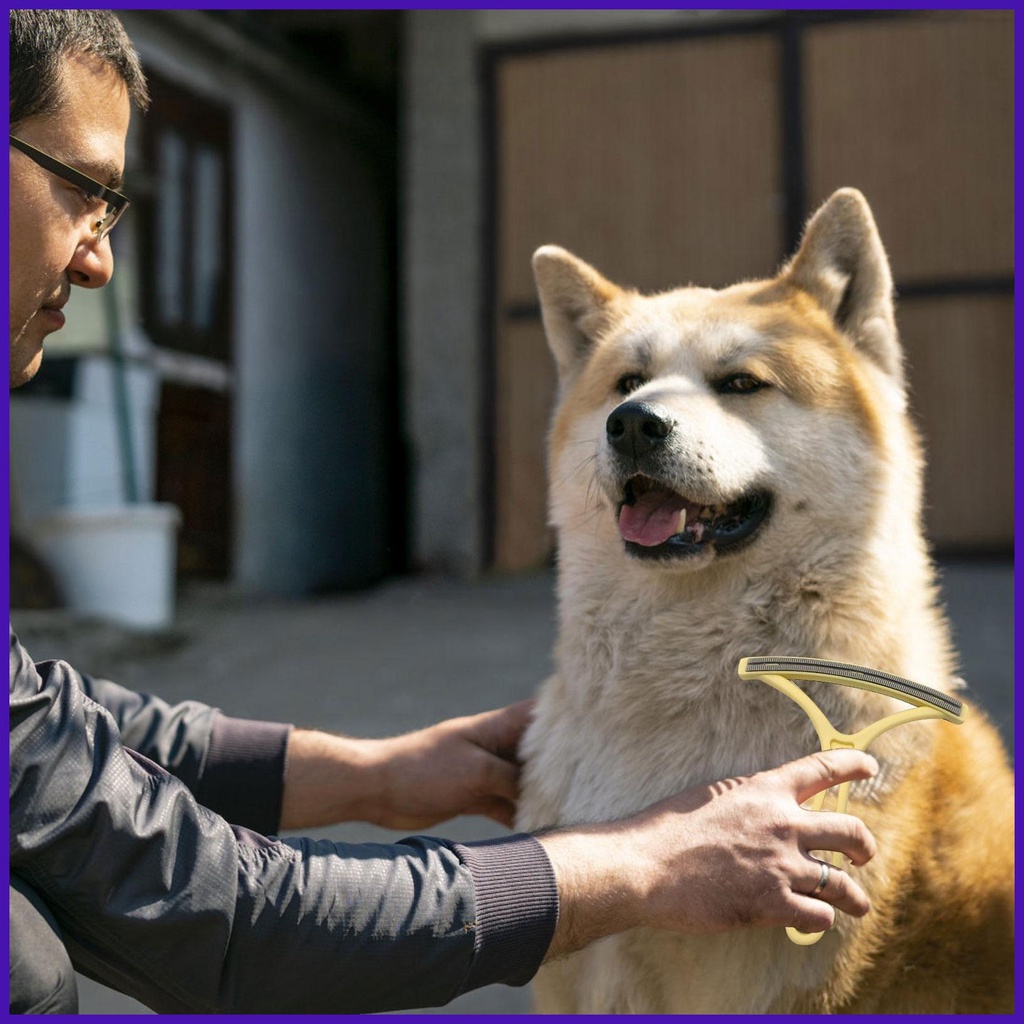 Lược Chải Xơ Vải Hai Mặt Có Thể Tái Sử Dụng Cho Thú Cưng