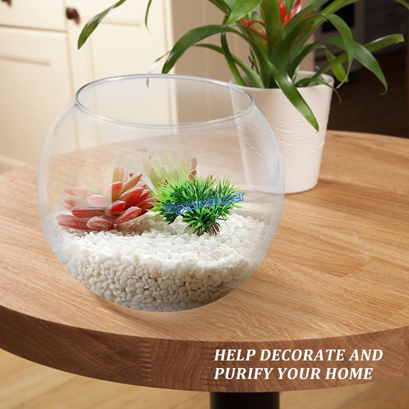 Bình Hoa Thủy Tinh Trong Suốt Hình Cầu Tròn