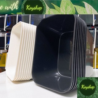 Bộ 5 Chậu nhựa Khay nhựa nuôi cá 7L kích thước 30x22x16cm - Nhựa dày, chắc chắn.