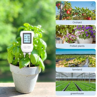Dụng Cụ Đo Độ PH & Độ Ẩm Đất 3 Trong 1