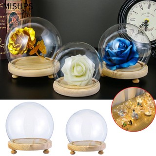 MISUPS Thủy Tinh Trồng Cây Thủy Tinh Trong Suốt Đế Gỗ Hình Cầu Có Đèn Trưng Bày