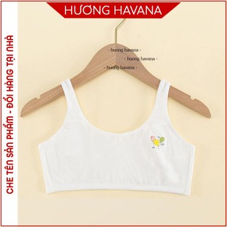 Áo bra học sinh ngực trần bông cotton tăm họa tiết bóng bay FLA622