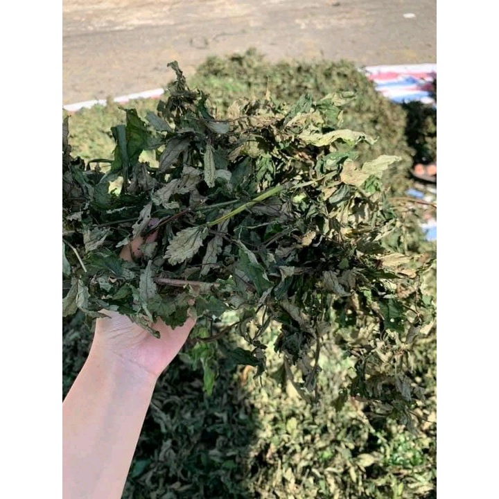 Lá đắng khô 1kg