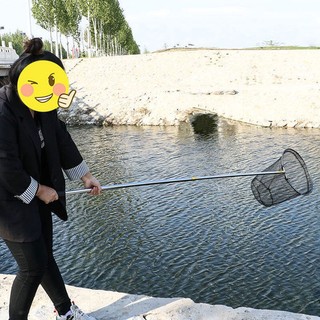 Vợt Câu Cá, Vợt Bắt Cá Siêu Rẻ