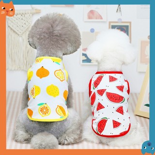 Áo thun in hình trái cây 5 màu dễ thương dành cho thú cưng
