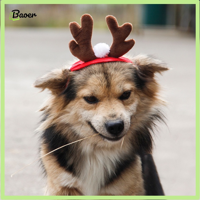 Băng Đô Hình Sừng Hươu Thời Trang Sáng Tạo Có Thể Điều Chỉnh Dành Cho Chó Mèo 100% Chính Hãng