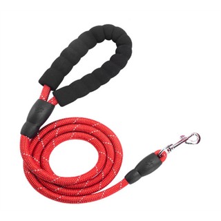 Dây Dắt Thú Cưng Đi Dạo 2m / 2m / 3m Mới