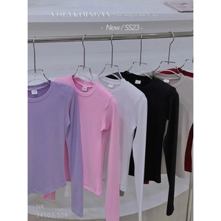 Set áo trơn basic đệm vai td+tn louis.h