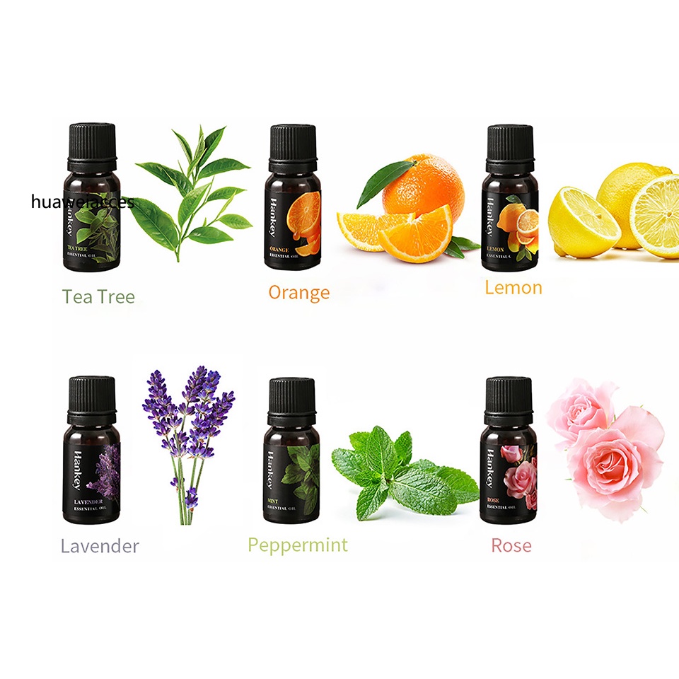 Tinh Dầu Hoa Oải Hương massage Thư Giãn Cơ Thể Chất Lượng Cao 10ml