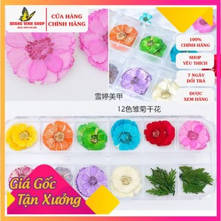 Hoa khô ẩn gel bông tròn