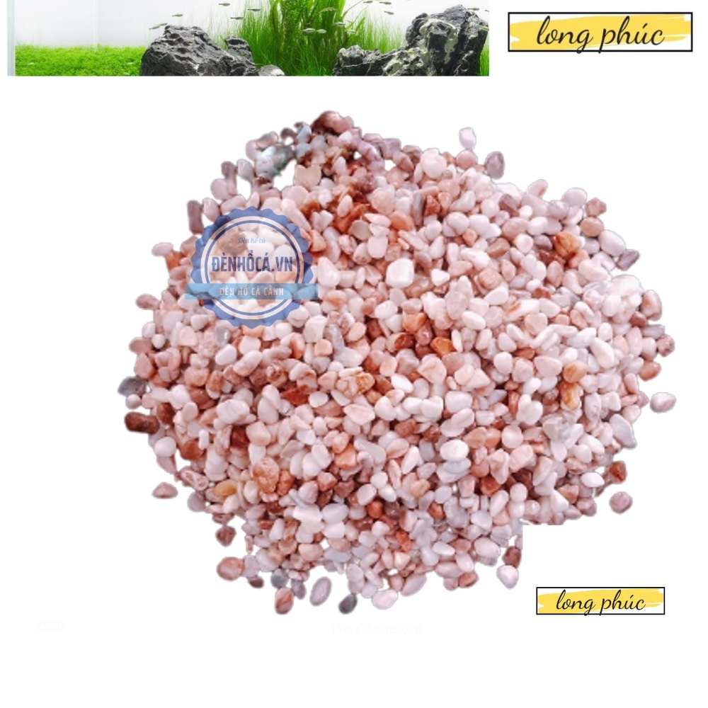 > Sỏi trang trí hồ cá mini