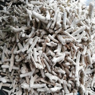 1kg san hô vụn lọc nước bể cá