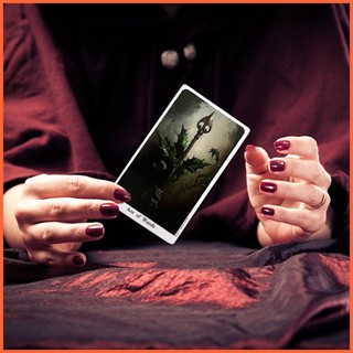 Bộ bài tarot 78 lá độc đáo thú vị dành cho người mới bắt đầu