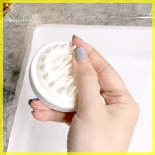 Lược Chải Tóc massage Da Đầu Tạo Kiểu Tóc salon
