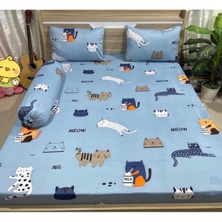 BỘ GA THUN 2mx2m2 Hàn Quốc 4 món Văn Thái Bedding