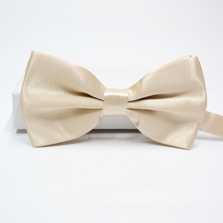 Cà Vạt Nơ Lụa polyester Hai Màu Trơn Sáng Bóng Thời Trang Nam