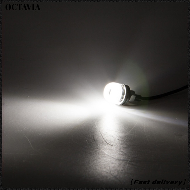 At Đèn led Mắt Đại Bàng 18mm 12v Ánh Sáng Đen Chống Thấm Nước Gắn Biển Số Xe Hơi