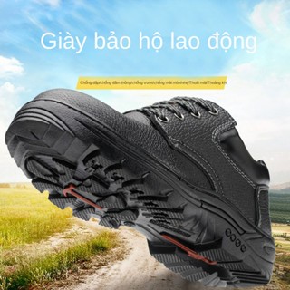 Giày Bảo Hộ Lao Động Chống Tác Động Thoáng Khí Đế Thấp Màu Trơn