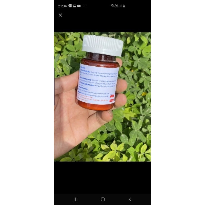 Vitamin Khoáng Cho Chim Cảnh cao cấp Sao Việt chĩnh hãng lọ 50gr Đại lý Kabosa