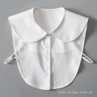 Mới Cổ Áo Giả Cổ Búp Bê Cỡ Lớn Thời Trang Thu Đông Xinh Xắn