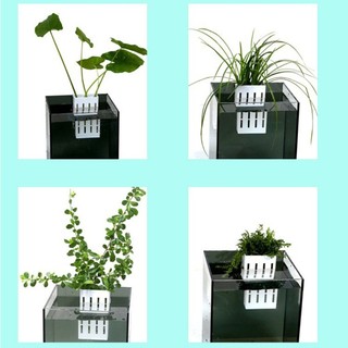 Set 4 Giá Đỡ Trồng Cây Trang Trí Bể Cá