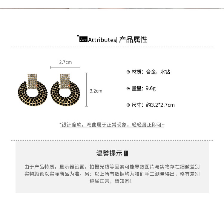 Bông Tai Mạ Bạc 925 Hình Tròn Đính Kim Cương Sang Trọng Nhẹ Nhàng Không Gây Dị Ứng