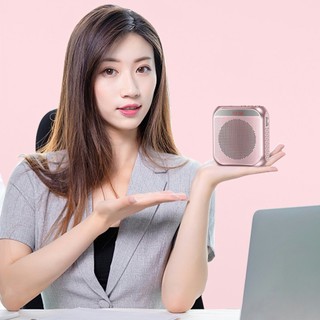 Loa trợ giảng hi fi s-17 công suất lớn pin trâu - giuse