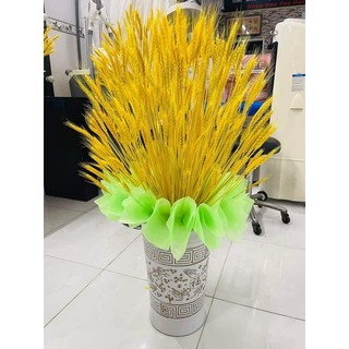 Bông Lúa Mạch Trang Trí , bông lúa thật xấy khô (Bó 100 Bông)