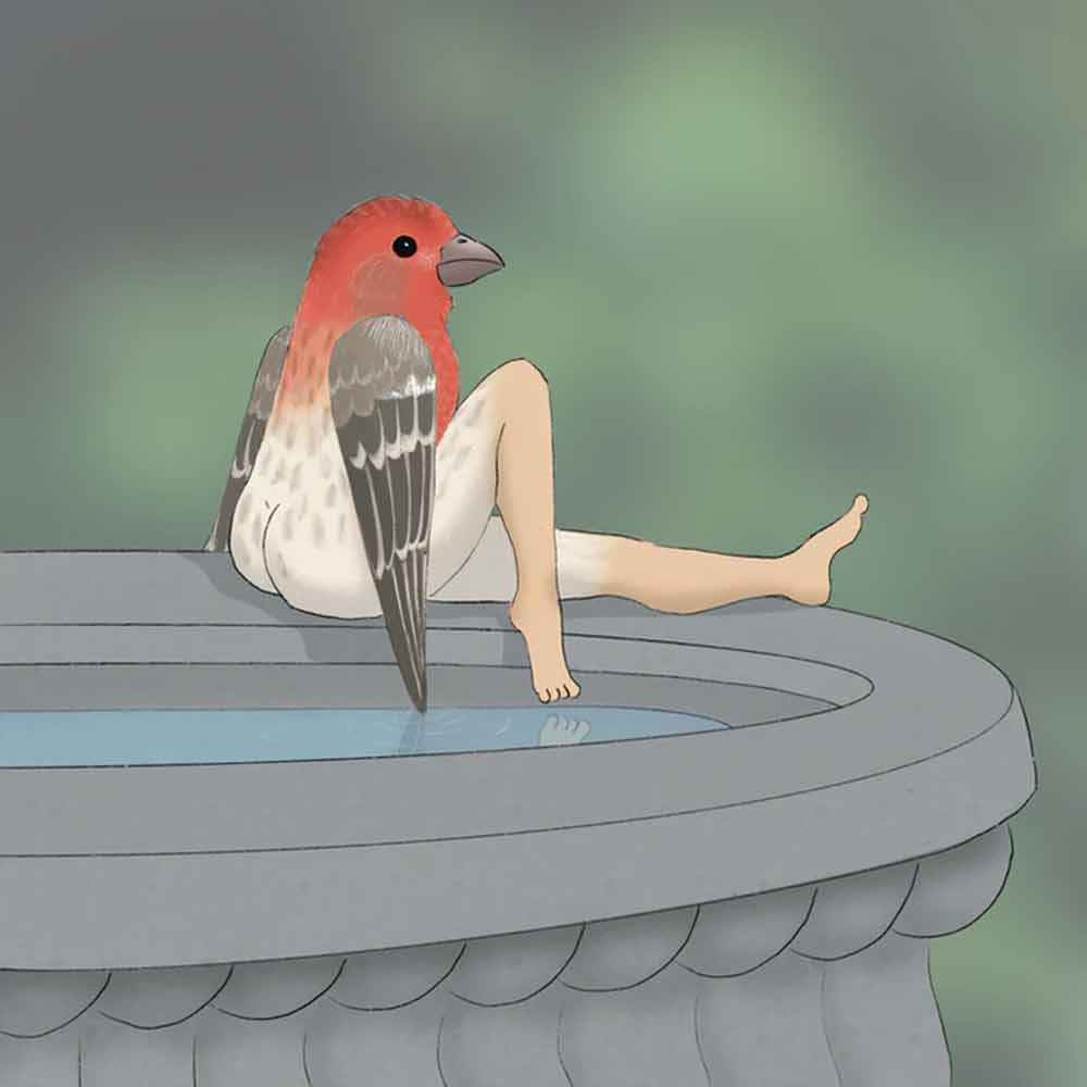 2024 Calendar Of Extremely Accurate Birds | Decorative Wall Monthly Calendars