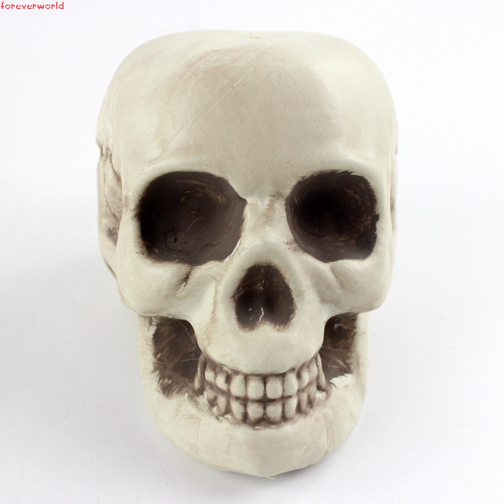 Mô Hình Đầu Lâu Trang Trí halloween