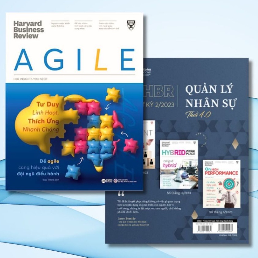 Lẻ/Combo 2 Sách Harvard Business Review: AGILE+ For CEOs - CEO và tầm nhìn chiến lược