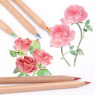 Bút Chì 4 / 7 Màu Vẽ Graffiti Nghệ Thuật