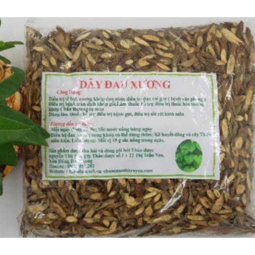 Dây đau xương, cây quý cho bệnh xương khớp hàng khô sạch, thơm