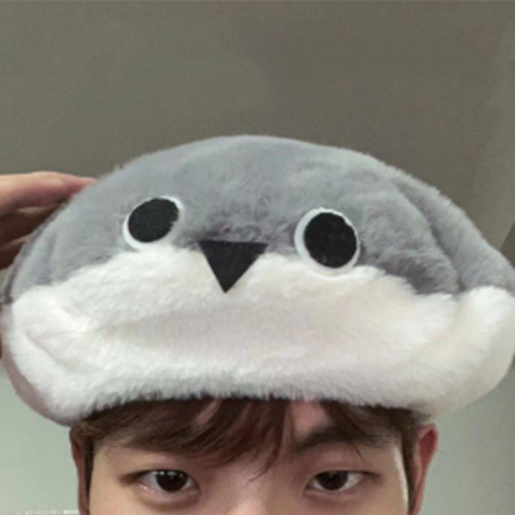 Ere1 Mũ Nồi Phủ Lông Ấm Áp Hoạt Hình Vui Nhộn Sáng Tạo Và Cá Nhân Hóa sacabambaspis