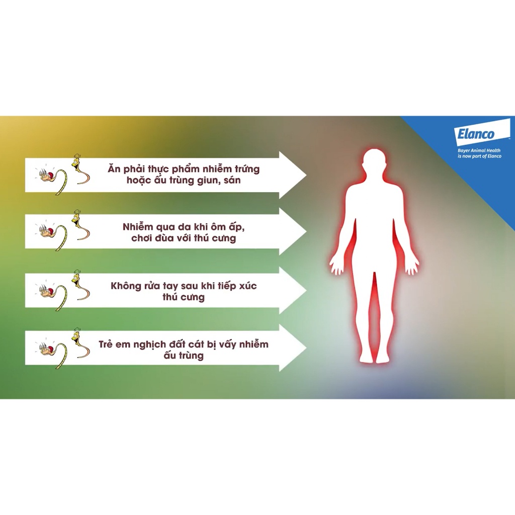 Viên nhai cho chó Drontal cho chó 10kg