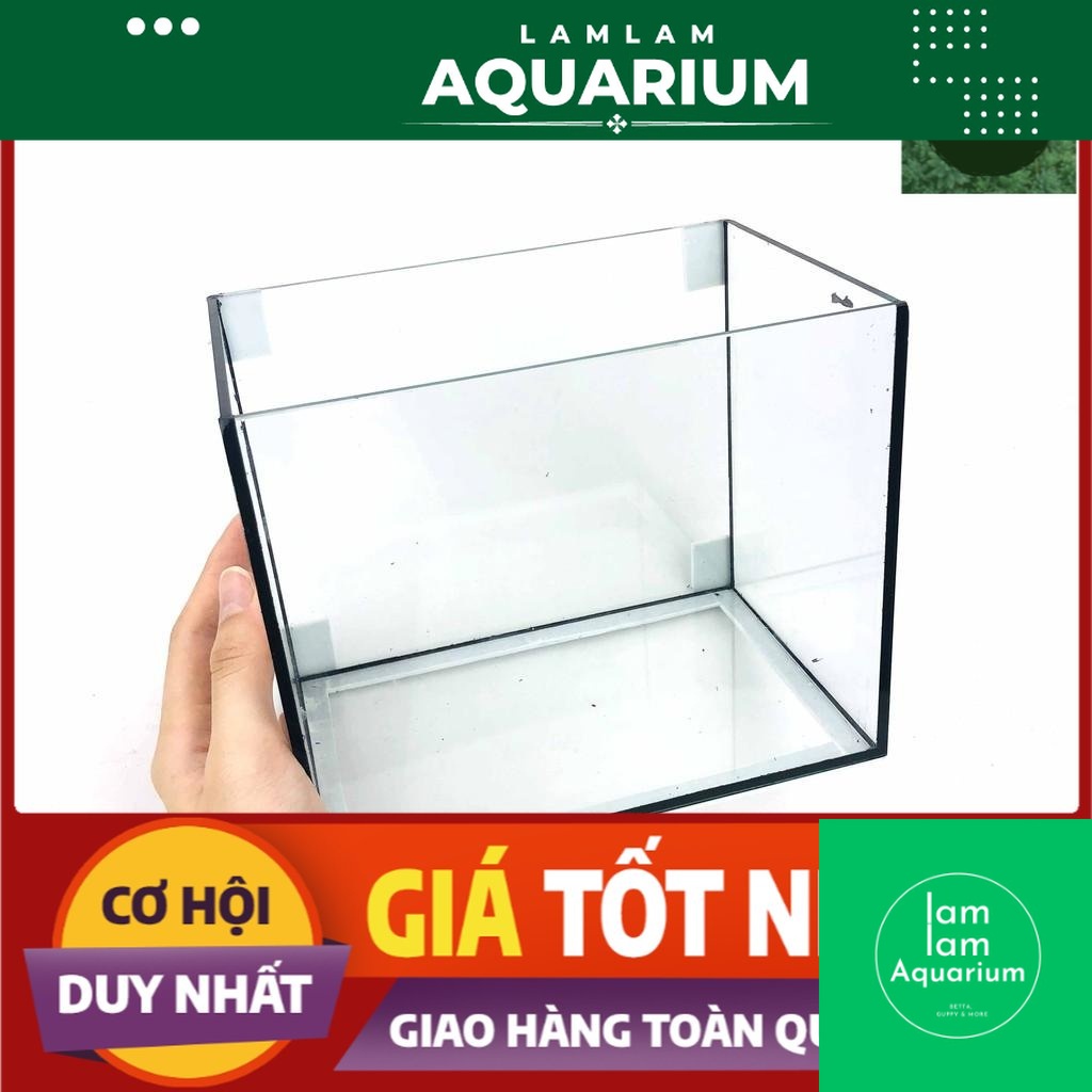 Hồ Cá BETTA Để Bàn - DÁN GIẤU KEO SIÊU ĐẸP size 18x12x15