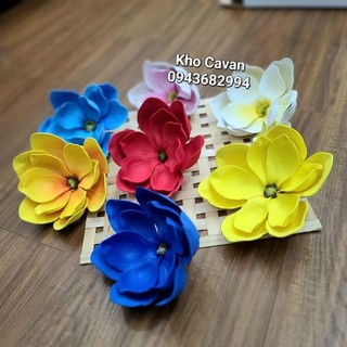 Hoa mộc lan, bông mộc lan loại đẹp