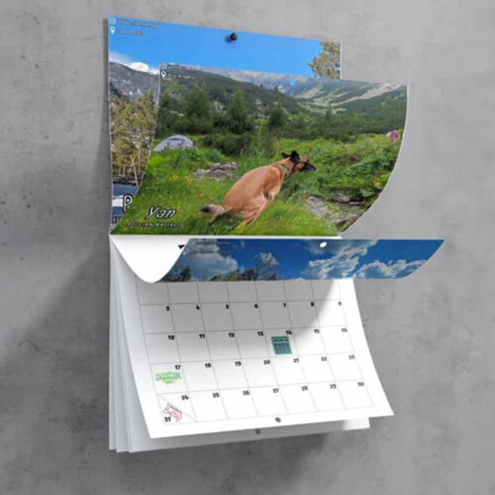 2024 Calendar-Funny Dogs Pooping in Beautiful Places Wall Calendar