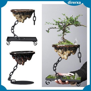 Hộp đựng thực vật Chậu cây cảnh Chậu trong nhà Chậu cây trồng Chậu cây