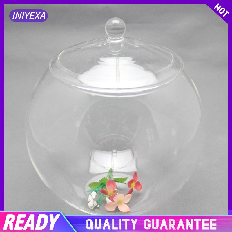 Lọ Thủy Tinh Trồng Cây / Kẹo / Đường Có Nắp 6.30 '' Để Bàn Trang Trí Phòng Ngủ diy