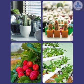 Bóng Đèn led Trồng Cây Trong Nhà e27 e27