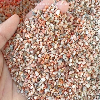 Sỏi trang trí sen đá các loại (1kg)