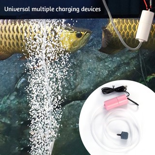 Hệ Thống Bơm Oxy Cho Bể Cá Cổng usb