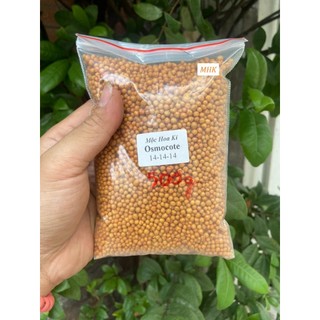  Túi Phân Bón Osmocote 14-14-14 Phân Vàng Thái Lan Dưỡng Kiểng Lá Xương Rồng Sen Đá 500g 
